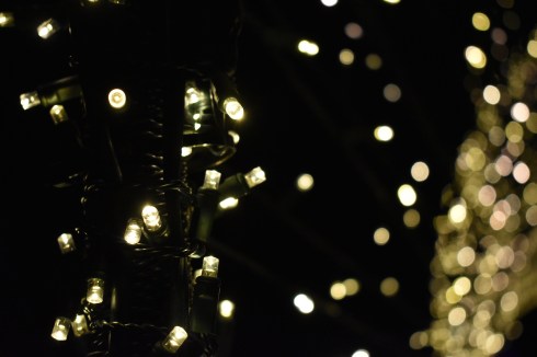 123B937E-5328-4BB1-868F-D545D5A3B130