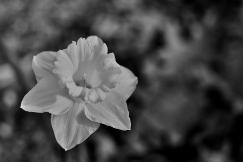 26E00AD3-4464-4E0E-8C8E-0F0AFFAD9262_1_201_a