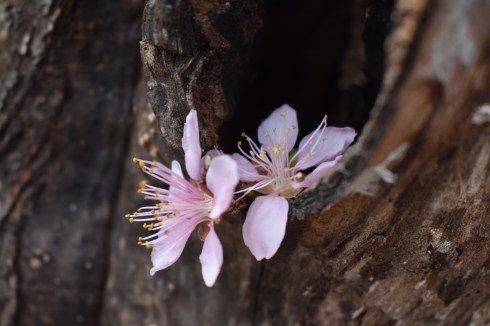 8D9E63C3-9EA8-4C2C-881C-6AC1CAE03F8B