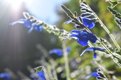 9E70572E-EEAB-48FC-A61E-FE430DE5507B